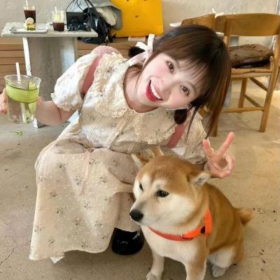 桃乐丝·罗奇的恐惧